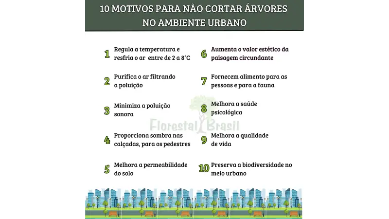 10 motivos para não cortar árvores urbanas