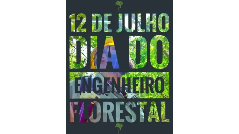 12 de Julho - Dia do Engenheiro Florestal