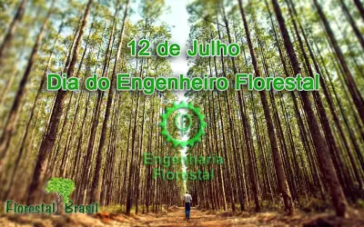 Por que se comemora o dia do Engenheiro Florestal em 12 de julho?