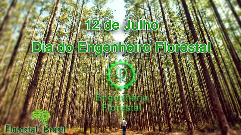 Por que se comemora o dia do Engenheiro Florestal em 12 de julho?