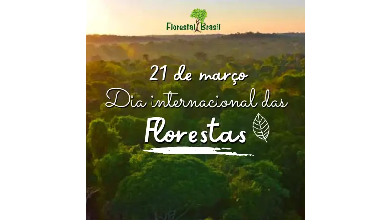 21 de março - Dia Internacional das Florestas