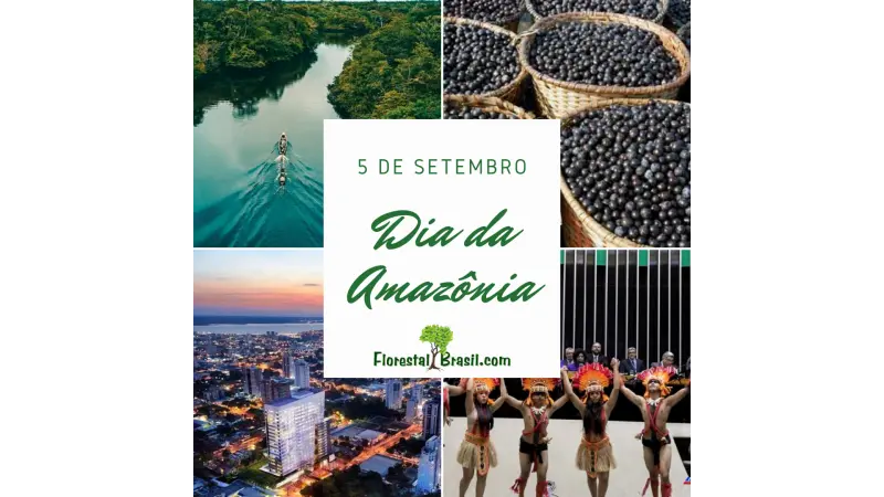 [SEMANA DA AMAZÔNIA] 30 fatos sobre a Amazônia