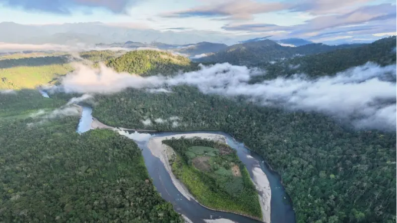 40% da região amazônica está sob algum manejo de conservação