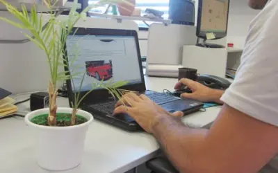 5 razões para ter uma planta no ambiente de trabalho