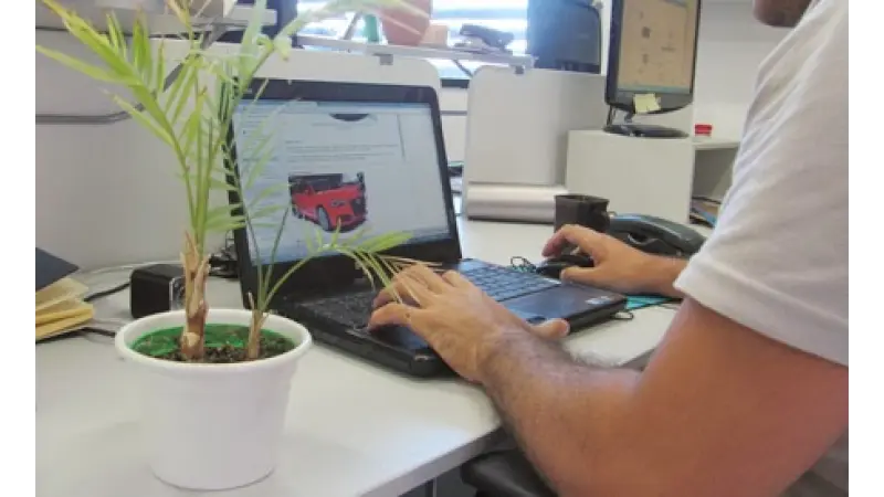 5 razões para ter uma planta no ambiente de trabalho