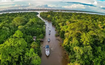 65% dos brasileiros desconhecem a Amazônia, aponta pesquisa inédita