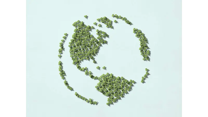 8 empresas brasileiras estão entre as mais sustentáveis da América Latina