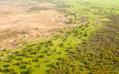 A Grande Muralha Verde Africana fará mudanças no clima