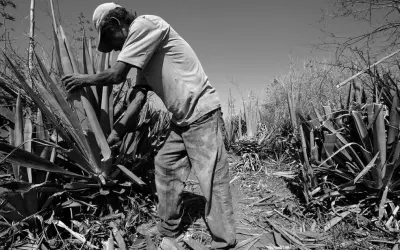 A intrínseca relação entre o Brasil e o trabalho escravo