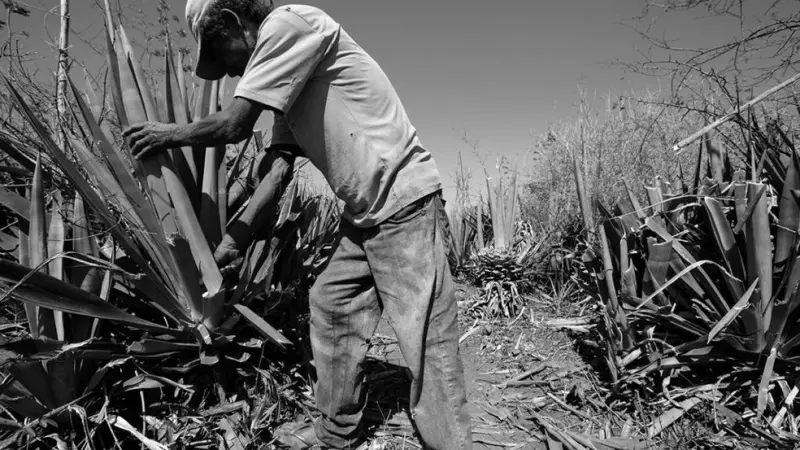 A intrínseca relação entre o Brasil e o trabalho escravo