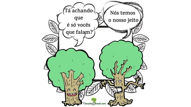 A rede de comunicação das Árvores