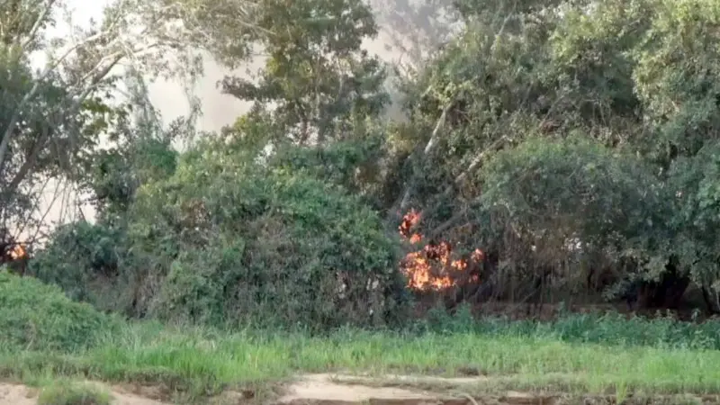 A seca e os incêndios na Amazônia têm o potencial de agravar as queimadas no Pantanal