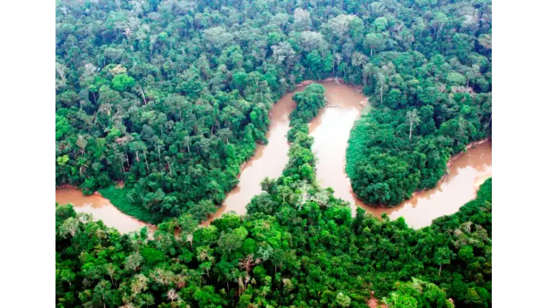 AC é um dos 9 Estados do Brasil que têm regras atualizadas sobre reposição florestal