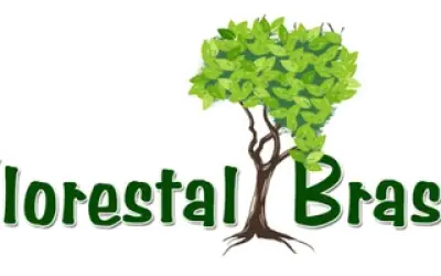 Analista Ambiental Pleno