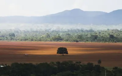 Agricultura cresceu 464% no Cerrado entre 1985 e 2020