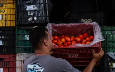 Agroecologia no SUS: Hospitais de São Paulo passam a servir alimentos orgânicos da agricultura familiar