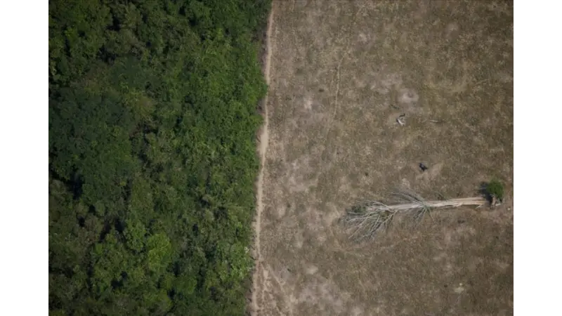 Agronegócio e desmatamento cara a cara