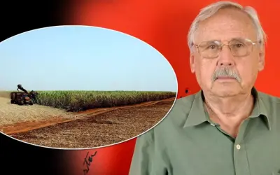 Apostar no agronegócio é um desastre econômico e ambiental para o Brasil