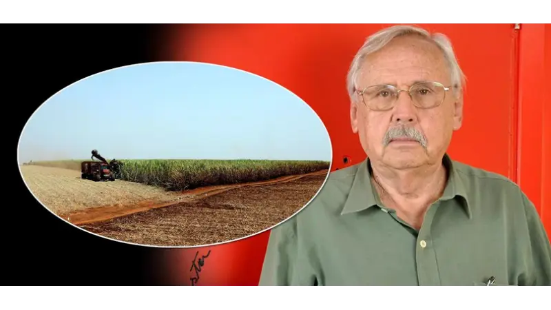 Apostar no agronegócio é um desastre econômico e ambiental para o Brasil