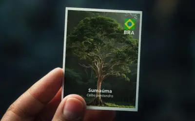COP30: álbum de figurinhas promove, de forma lúdica, educação ambiental às crianças da Amazônia