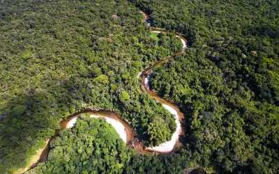 Alemanha deve revelar aporte ao Fundo de Florestas na reta final da COP30