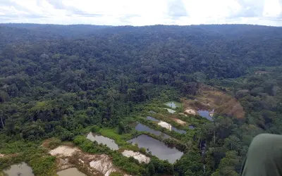 Alerta Vermelho na Amazônia: Degradação Ambiental Dispara e Ameaça o Futuro do Brasil