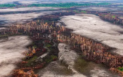 Alertas de desmatamento na Amazônia é o segundo maior desde 2016