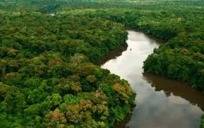 Aliança pela Restauração da Amazônia brasileira é lançada em Belém