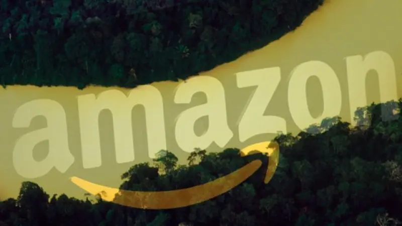 Amazon vai restaurar florestas na Amazônia do País em ação de remoção de carbono