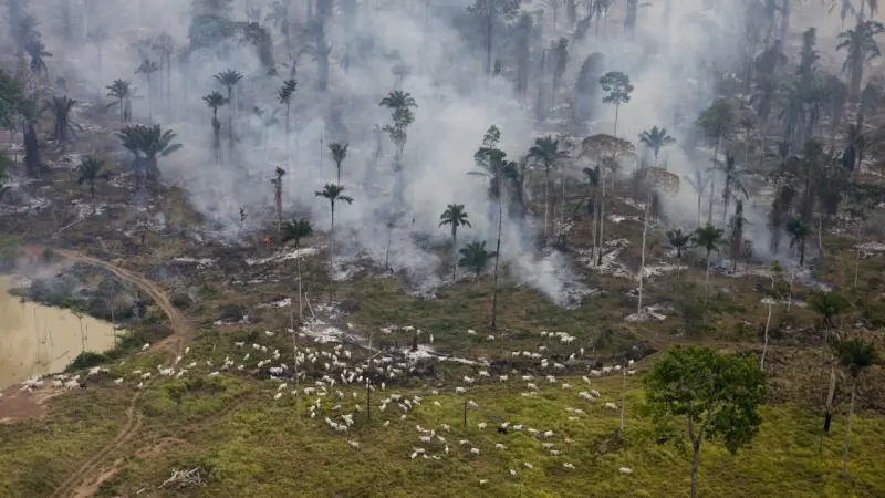 A Amazônia brasileira já se aproxima do limite crítico de 20% a 25% de desmatamento previsto pela ciência como ponto de não retorno
