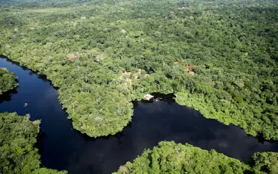 Amazônia ganha novo sistema de vigilância