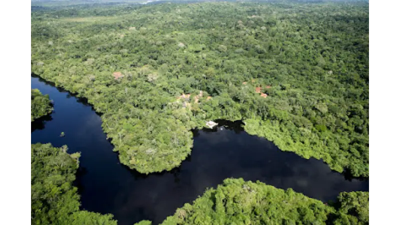 Amazônia ganha novo sistema de vigilância