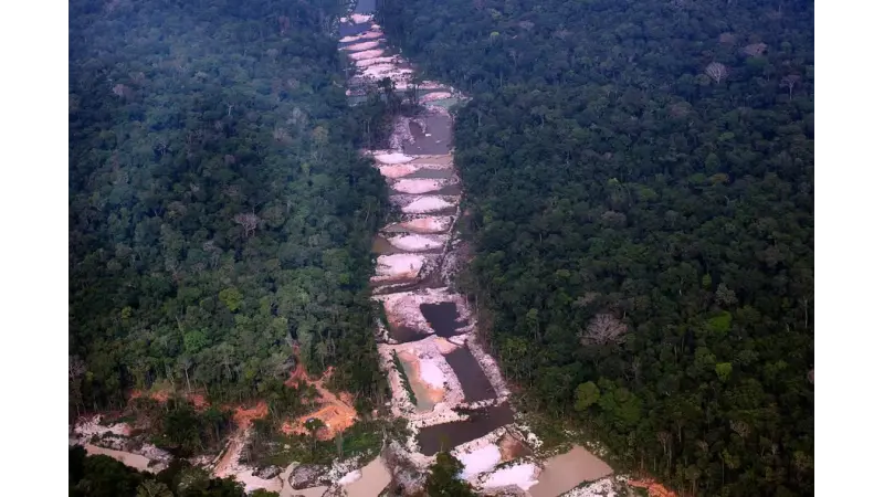 Amazônia pode atingir ponto de não retorno até 2050