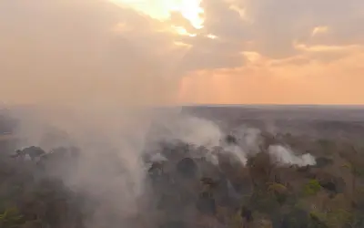 Amazônia: queimada recorde em fevereiro
