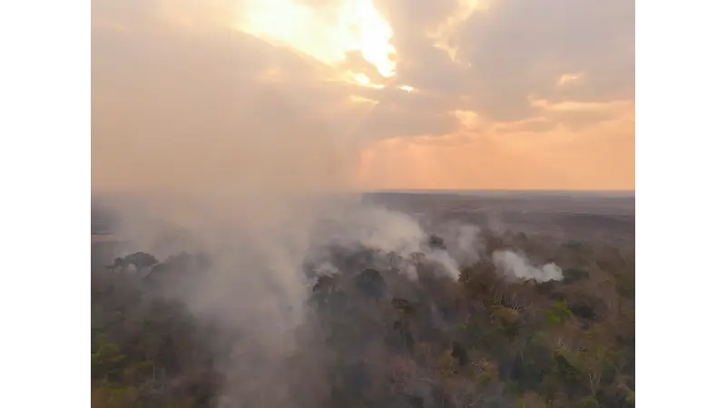 Amazônia: queimada recorde em fevereiro