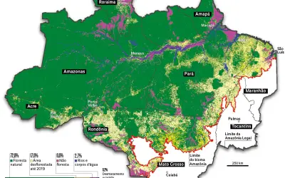 Amazônia tem 14% da área ocupada por pastagens e agricultura