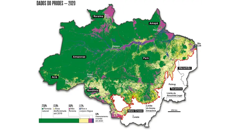 Amazônia tem 14% da área ocupada por pastagens e agricultura