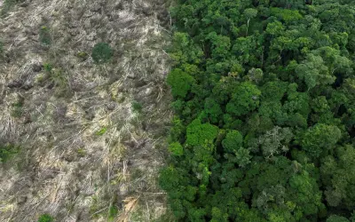 Amazônia teve desmatamento em 900 mil hectares, redução de 22%