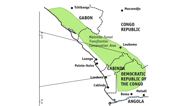 Angola e a Incrível e gigantesca floresta do Maiombe