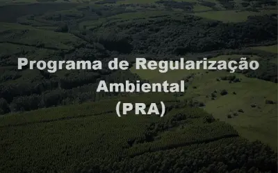 Após o CAR: Programa de Regularização Ambiental e Cotas de Reserva Ambiental