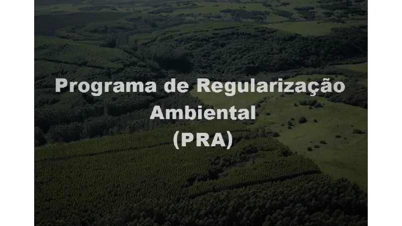 Após o CAR: Programa de Regularização Ambiental e Cotas de Reserva Ambiental
