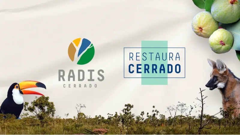 App desenvolvido pela UnB auxilia agricultores na restauração do Cerrado