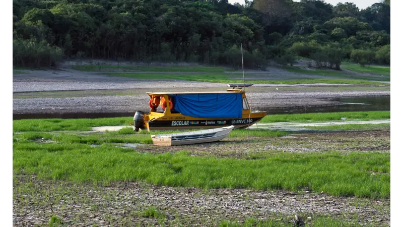 Aquecimento da água na Amazônia é generalizado, alertam pesquisadores