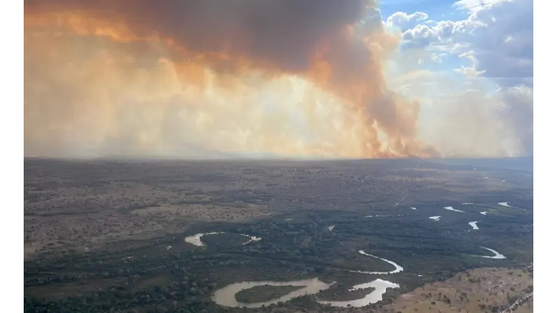Aquecimento global aumentou em 40% seca e calor durante incêndios de junho no Pantanal