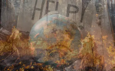 Aquecimento Global é real: dados, impactos e o que podemos fazer