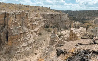 Aquecimento global faz surgir primeira zona árida e expande clima semiárido e áreas secas no Brasil