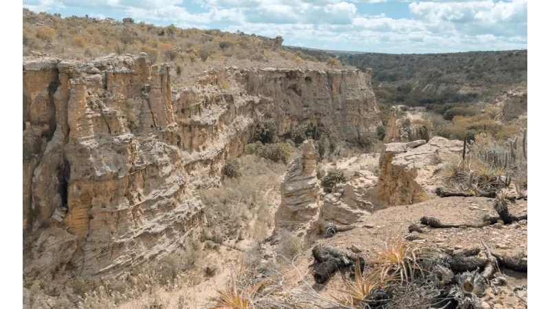 Aquecimento global faz surgir primeira zona árida e expande clima semiárido e áreas secas no Brasil