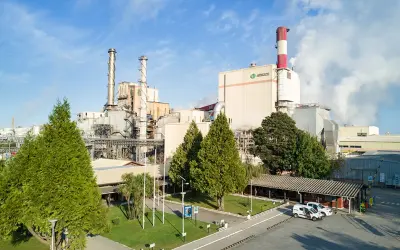 Arauco demite 300 no Chile, mas mantém plano de R$ 28 bilhões para MS