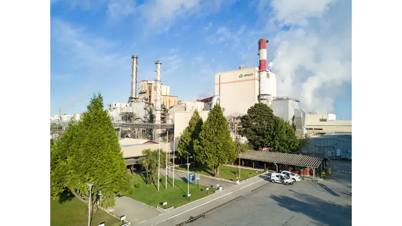 Arauco demite 300 no Chile, mas mantém plano de R$ 28 bilhões para MS