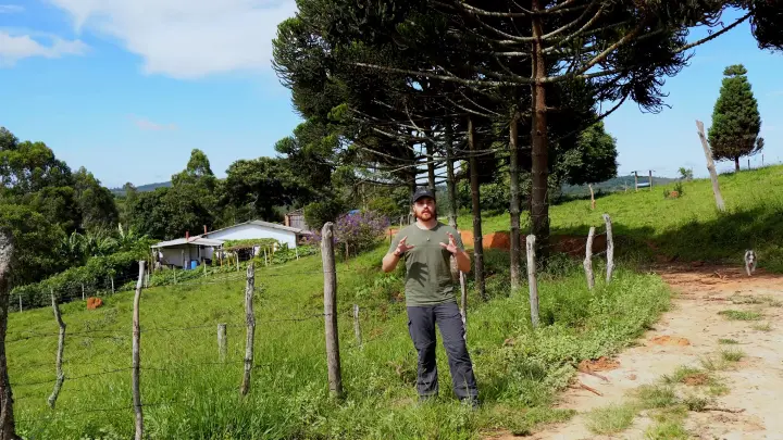 Arborização Rural: estratégias para valorizar a propriedade e promover o bem-estar animal